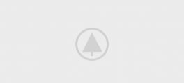 wood-gallery-placeholder-5 wood-gallery-placeholder-5
